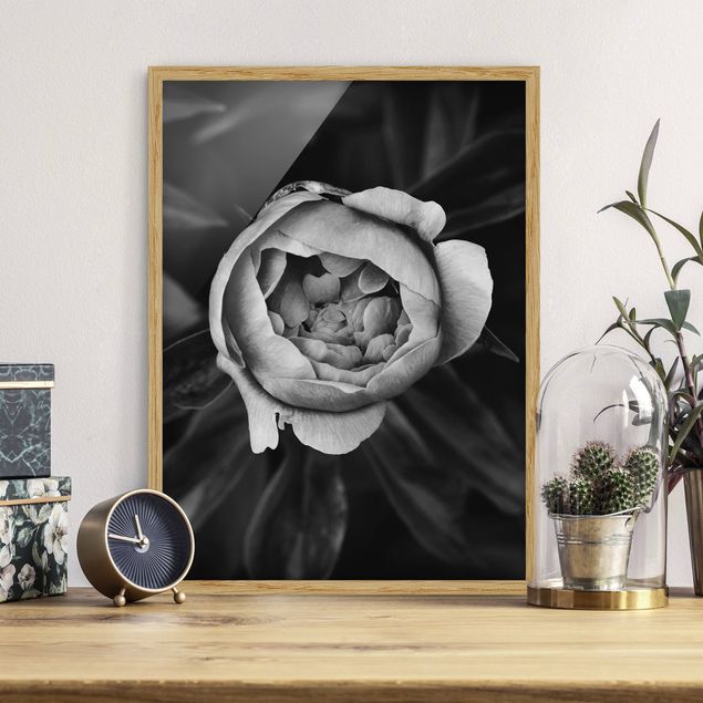Framed poster - Peonies In Front Of Leaves Black And White