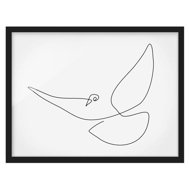 Framed poster - Dove Line Art