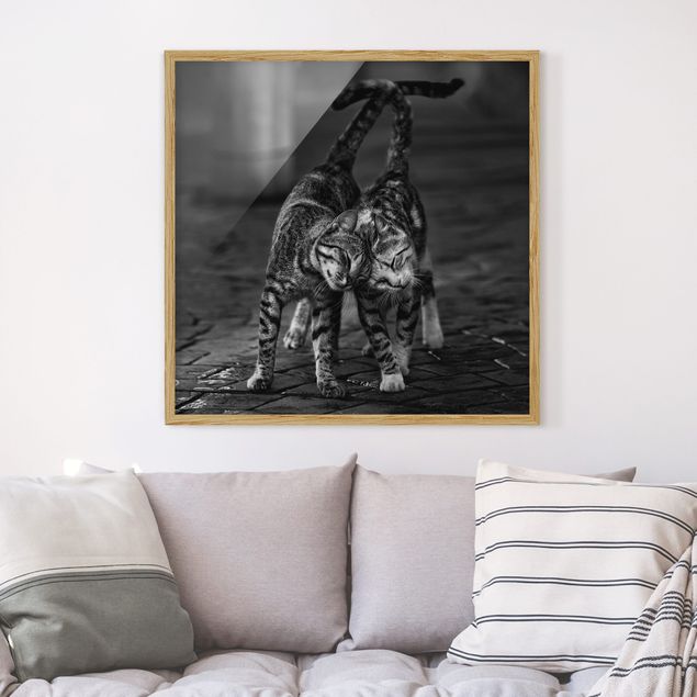 Framed poster - Cat Friendship