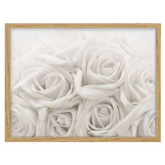 Framed poster - White Roses