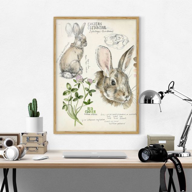 Framed poster - Wilderness Journal - Rabbit
