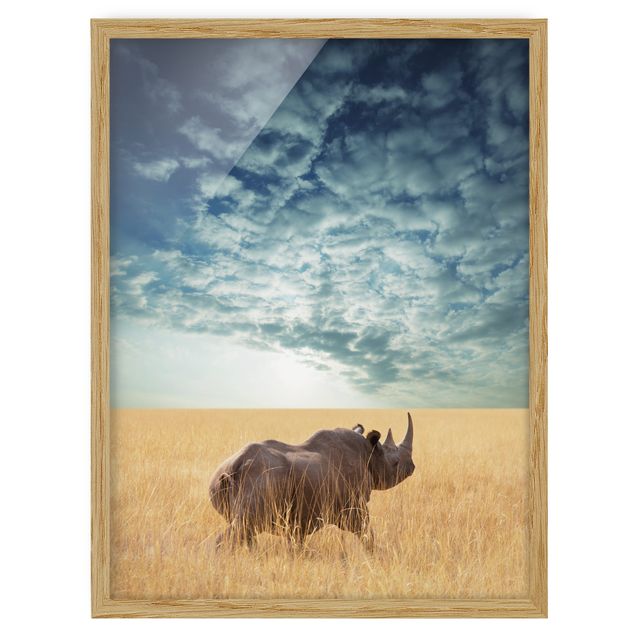 Framed poster - Rhino In The Savannah
