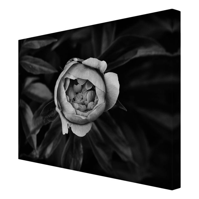 Canvas print - Peonies In Front Of Leaves Black And White