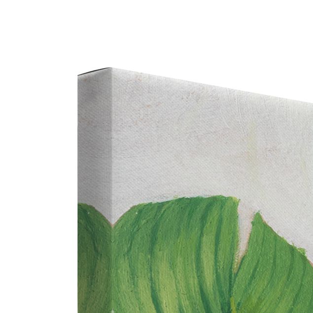 Print on canvas - Favorite Plants Tropical Set I