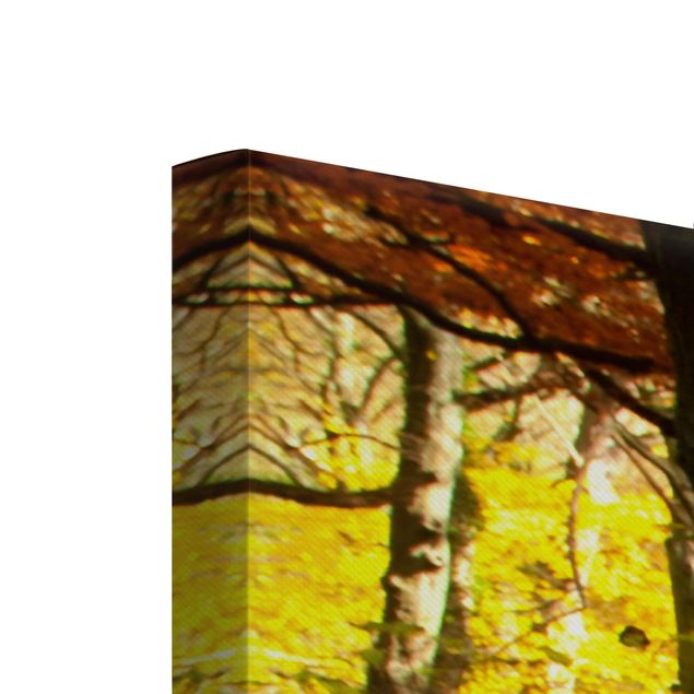 Print on canvas 4 parts - Waterfall Autumnal Forest