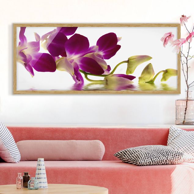 Framed poster - Pink Orchid Waters