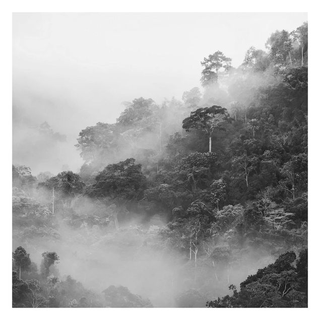 Adhesive wallpaper forest - Jungle In The Fog Black And White