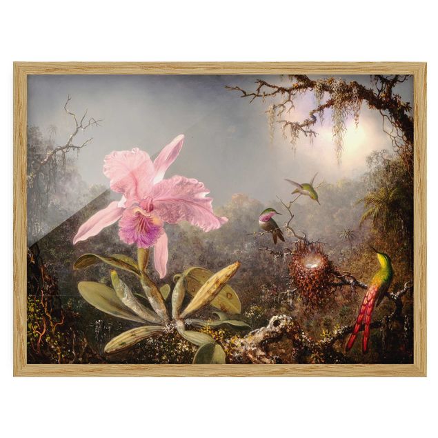 Framed poster - Martin Johnson Heade - Orchid And Three Hummingbirds