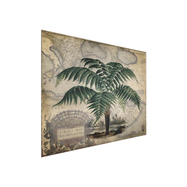 Glass print - Vintage Collage - Palm And World Map