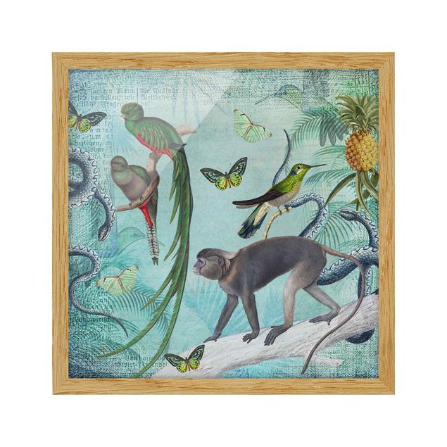 Framed poster - Colonial Style Collage - Monkeys And Birds Of Paradise