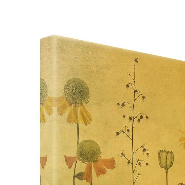 Canvas print gold - Delicate Helenium Flowers