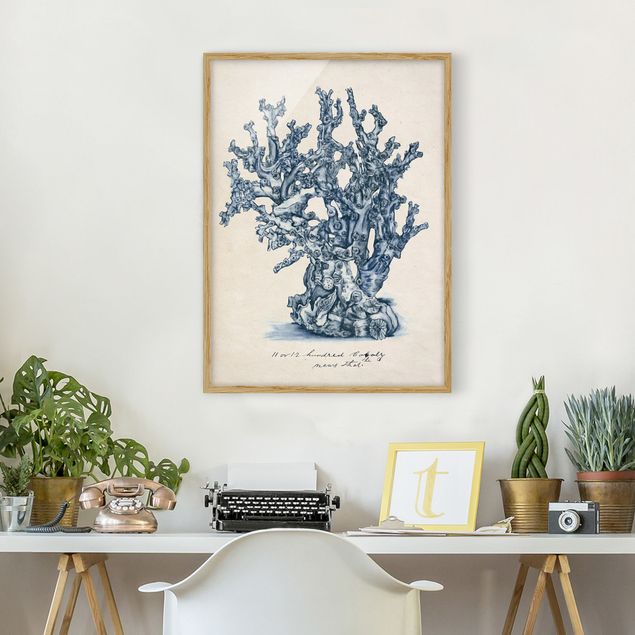 Framed poster - Sea Corals Study II