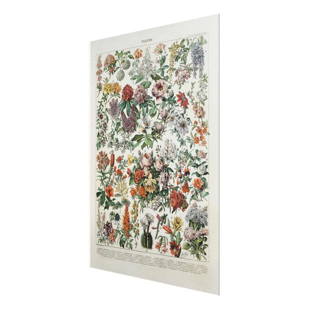 Glass print - Vintage Board Flowers II
