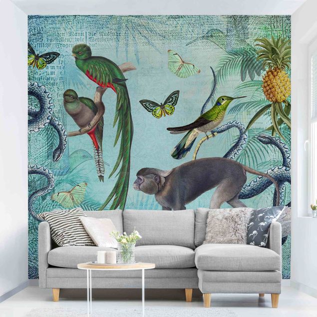 Wallpapers Colonial Style Collage - Monkeys And Birds Of Paradise