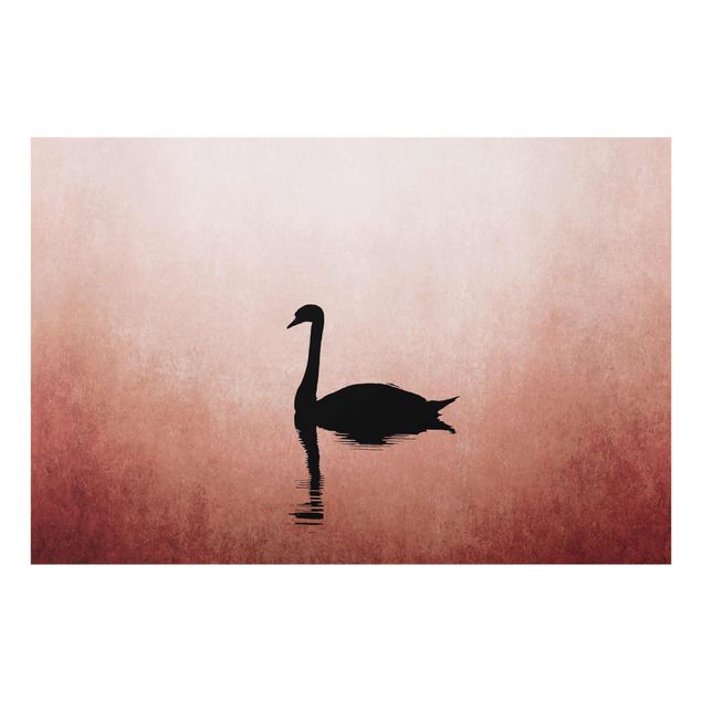 Glass print - Swan In Sunset