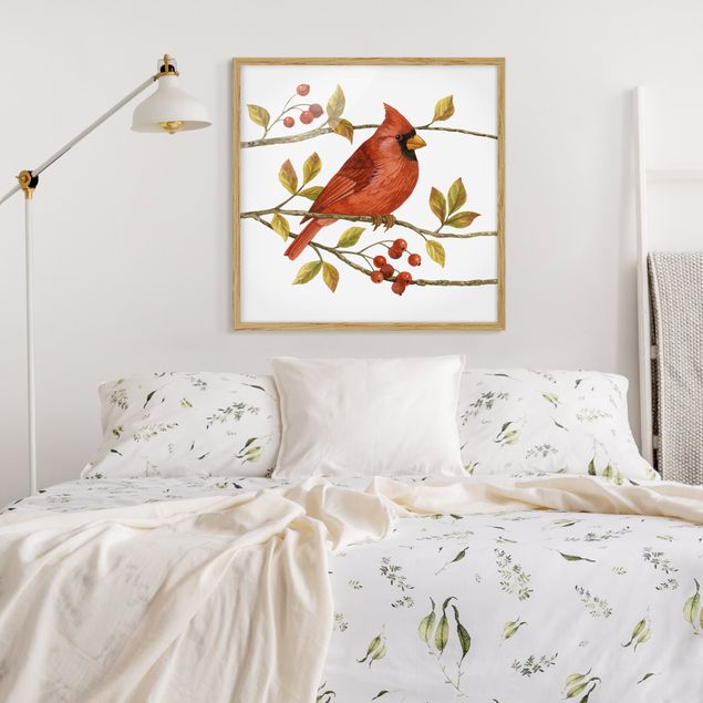 Framed poster - Birds And Berries - Northern Cardinal