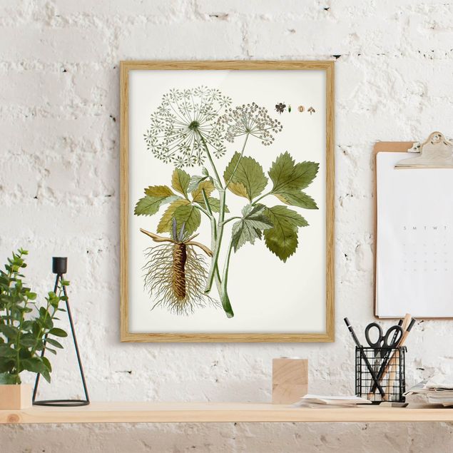 Framed poster - Wild Herbs Board IV