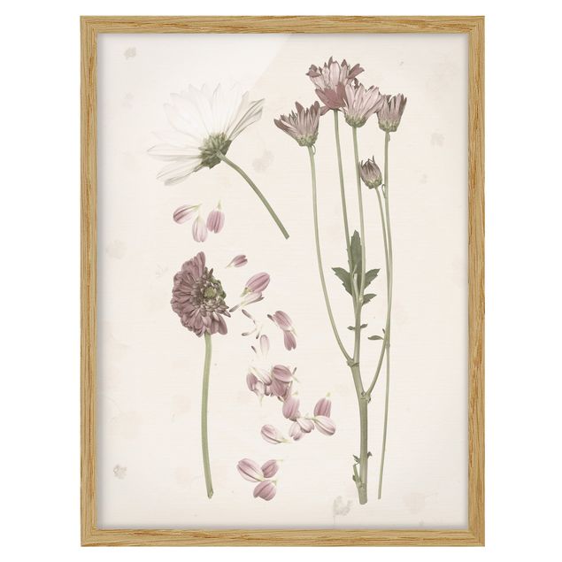 Framed poster - Herbarium In Pink II