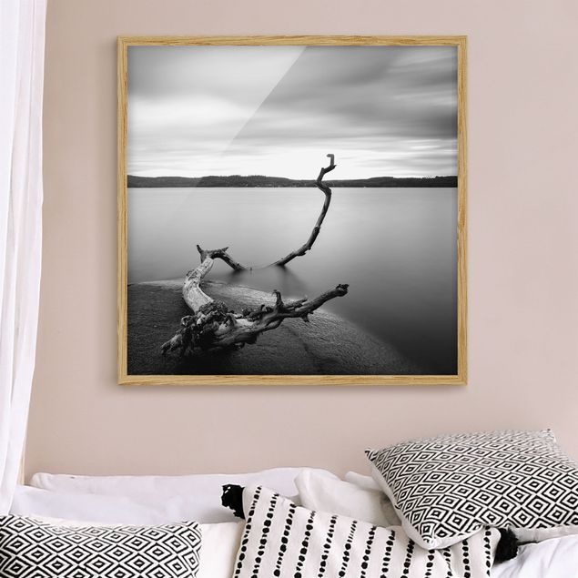 Framed poster - Sunset In Black And White By The Lake