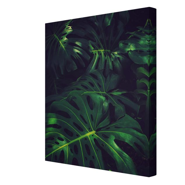 Canvas print - Monstera Jungle