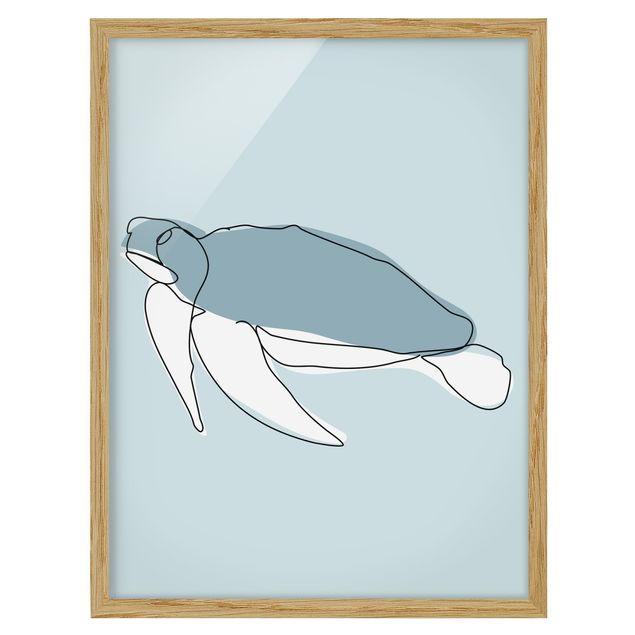 Framed poster - Turtle Line Art
