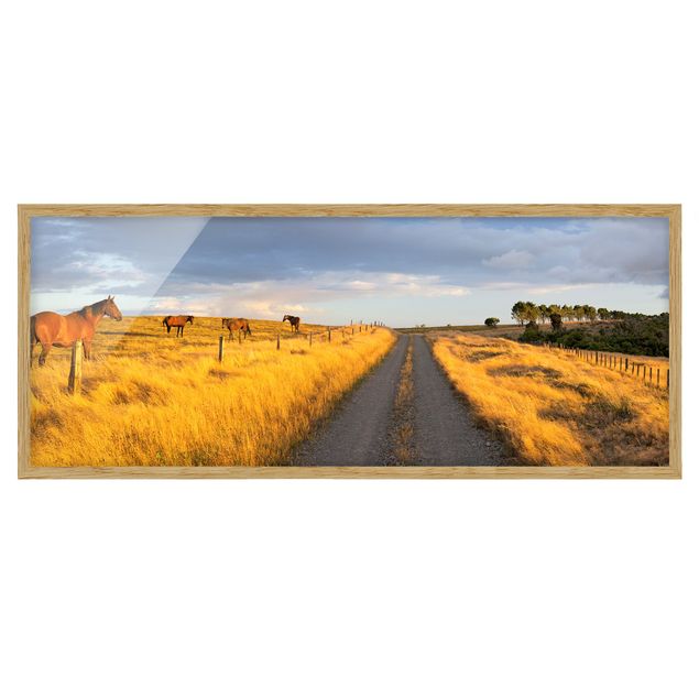 Framed poster - Field Road And Horse In Evening Sun