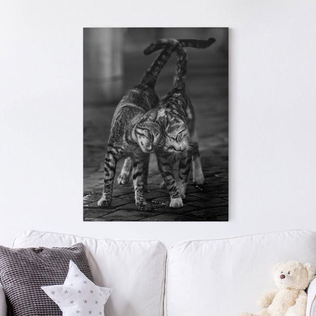 Print on canvas - Cat Friendship