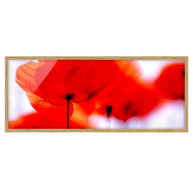 Framed poster - Magic Poppies