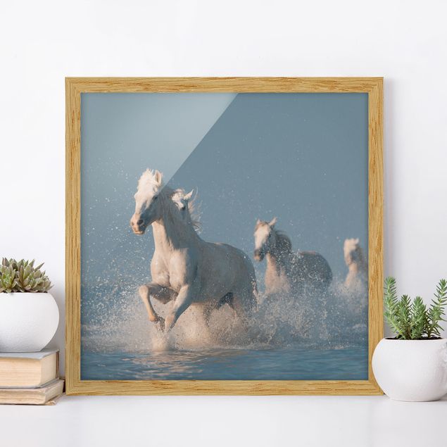 Framed poster - Herd Of White Horses