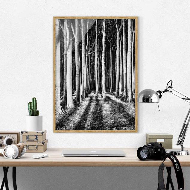 Framed poster - Spooky Forest