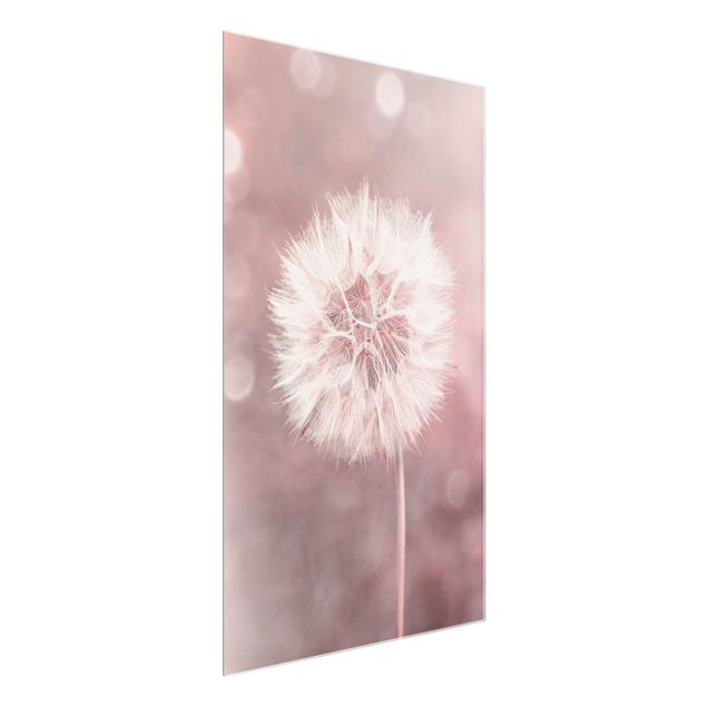 Glass print - Dandelion Bokeh Light Pink