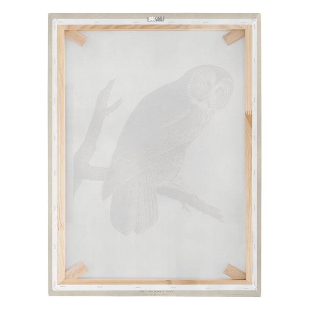 Print on canvas - Vintage Board Great Owl