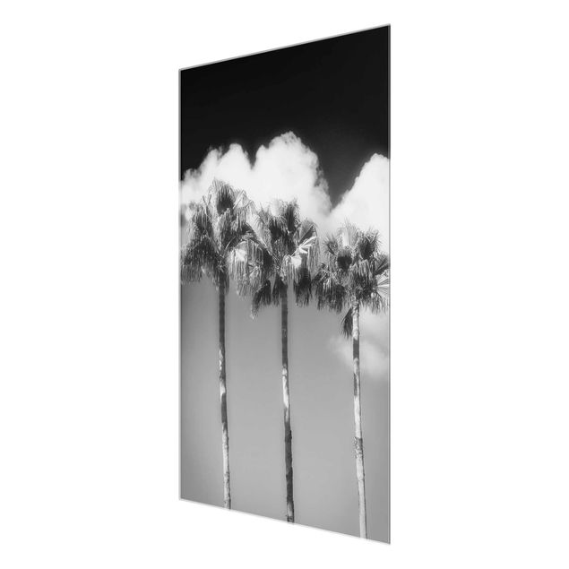 Glass print - Palm Trees Against The Sky Black And White
