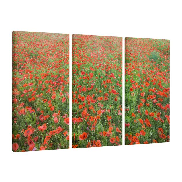 Print on canvas 3 parts - Poppy Field