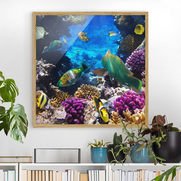 Framed poster - Underwater Dreams