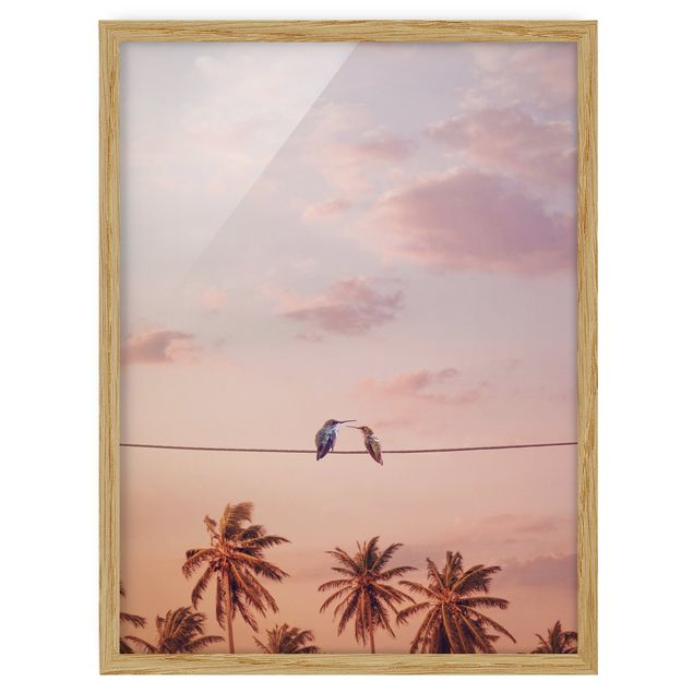 Framed poster - Sunset With Hummingbird
