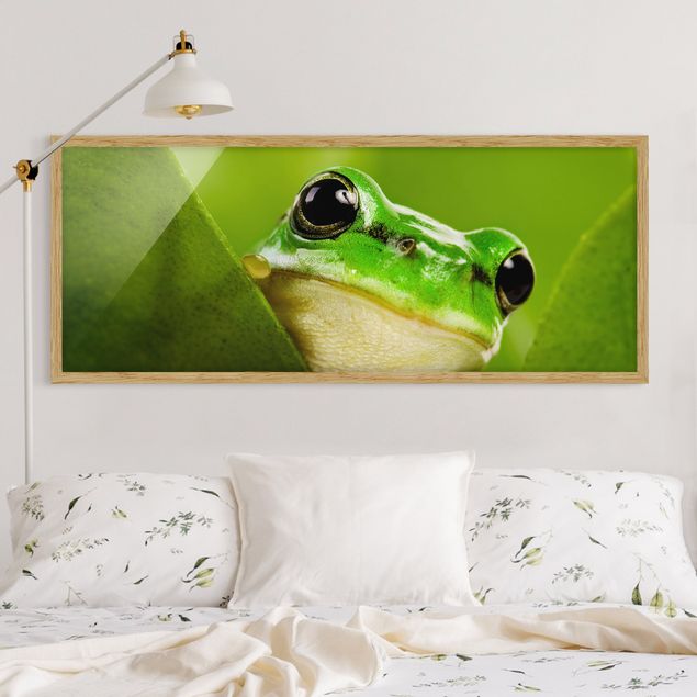 Framed poster - Frog
