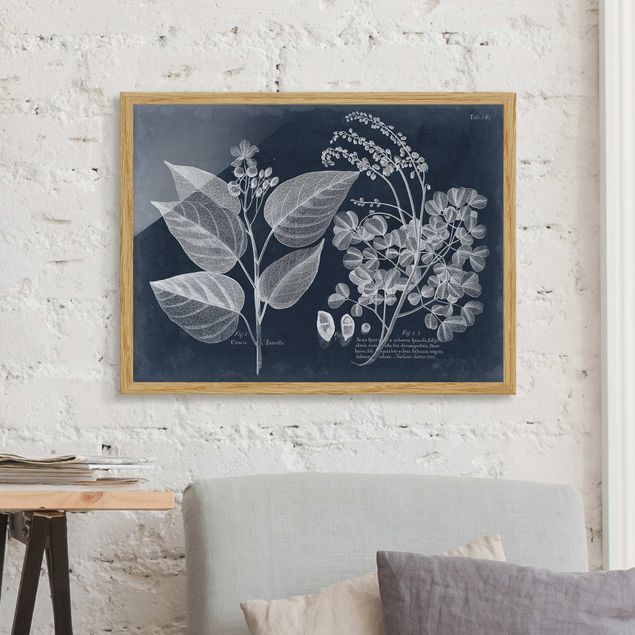 Framed poster - Foliage Dark Blue - Annotto