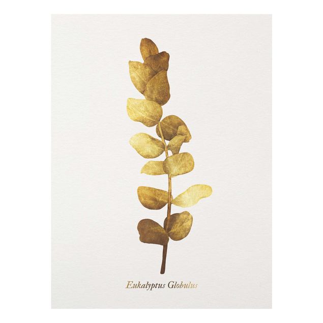 Glass print - Gold - Eucalyptus