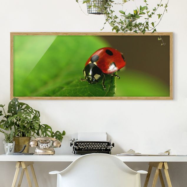Framed poster - Lady Bird