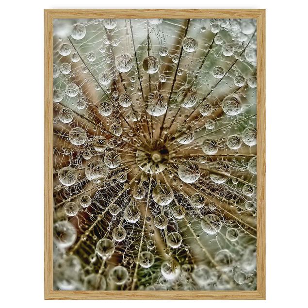 Framed poster - Dandelion In Autumn