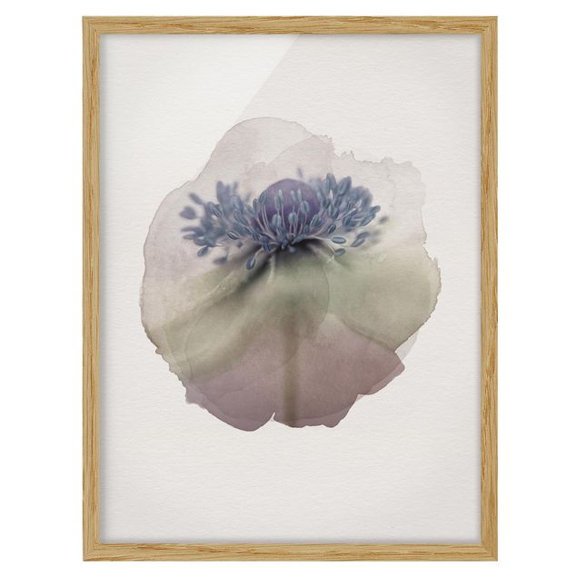 Framed poster - WaterColours - Anemone In Violet