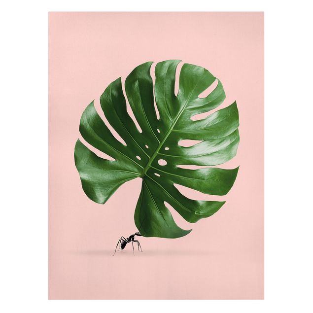 Canvas print - Ant With Monstera Leaf