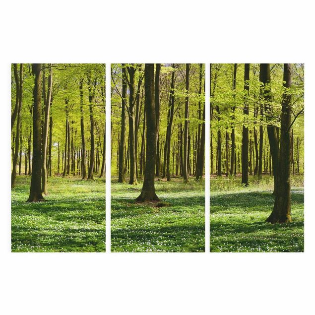Print on canvas 3 parts - Forest Meadow