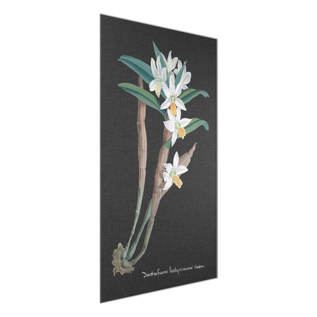 Glass print - White Orchid On Linen I