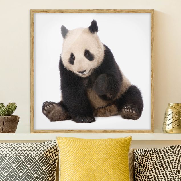 Framed poster - Panda Paws