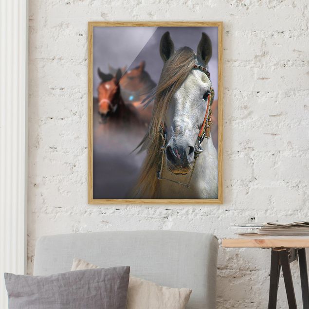 Framed poster - Horses in the Dust