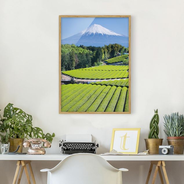 Framed poster - Tea Fields In Front Of The Fuji