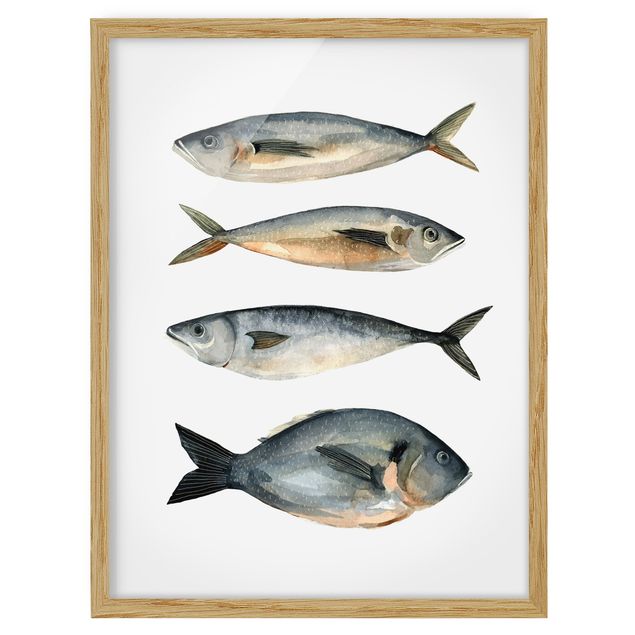 Framed poster - Four Fish In Watercolour I