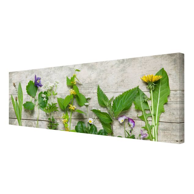 Print on canvas - Medicinal and Meadow Herbs